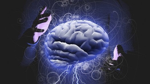 percepcion mental