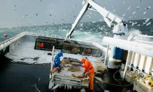 pescadores-en-alta-mar